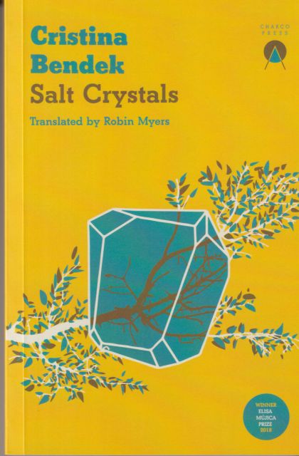 Salt Crystals Cristina Bendek