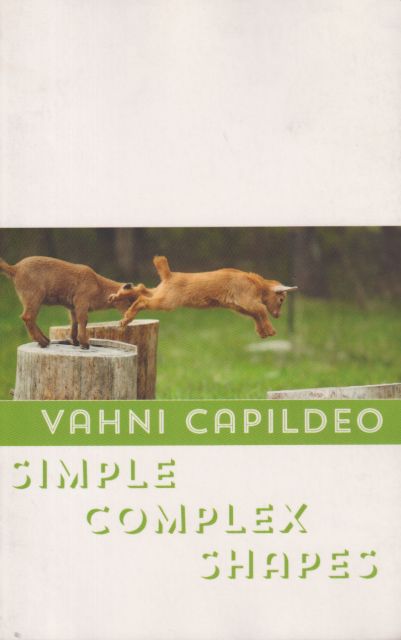 Simple Complex Shapes Vahni Capildeo