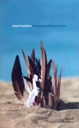 Measures of Expatriation Vahni Capildeo