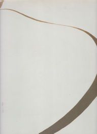 Georgia O'Keeffe Bice Curiger (contributes)