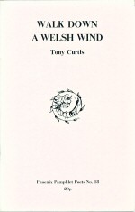 Walk Down a Welsh Wind Tony Curtis