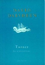Turner David Dabydeen