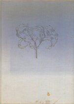 The Lamp of Beauty - Writings on Art by John Ruskin Joan Evans (selects and edits)