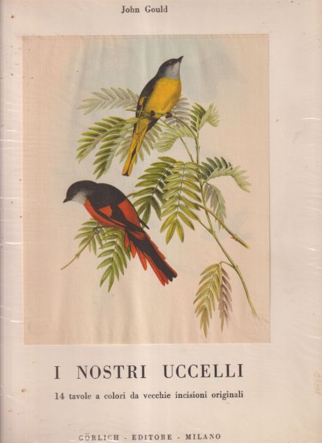 I Nostri Uccelli (Our Birds) John Gould
