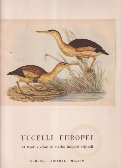 Uccelli Europei (European Birds) John Gould