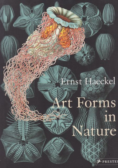 Art Forms in Nature Ernst Haeckel