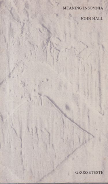 Meaning Insomnia John Hall