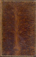 The Poetical Works of Thomas Hood Thomas  Hood