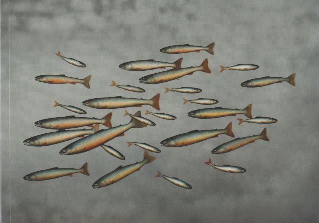 Donald Provan - Tidal Pull Marie Louise Jones (introduces)