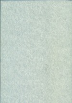 Somewhere the Wave Derek Mahon