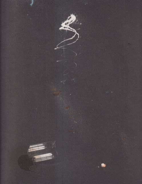 Spinning - Nature, Culture and the Spiritual in the Work of John Newling Richard Davey