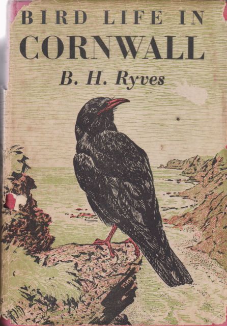 Bird Life in Cornwall B.H. Ryves