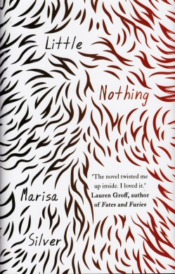 Little Nothing Marissa Silver