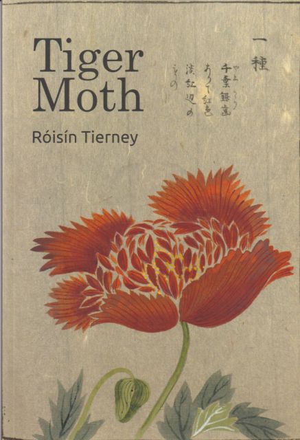 Tiger Moth Roisin Tierney