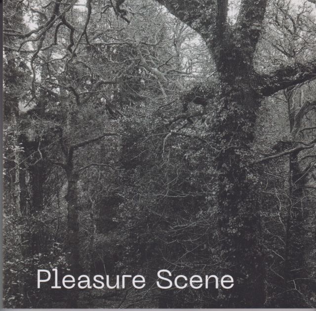 Pleasure Scene Graham Martin (edits)