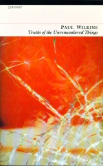 Truths of the Unremembered Things Paul Wilkins